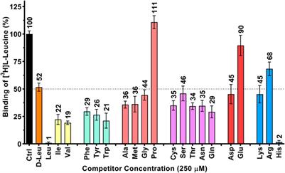 Characterization of substrates and inhibitors of the human heterodimeric transporter 4F2hc-LAT1 using purified protein and the scintillation proximity radioligand binding assay